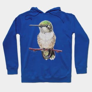 Perched Hummingbird Hoodie